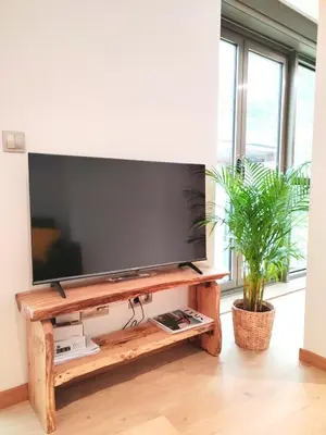 a television on a wooden stand in a living room with a plant at Viveiro Centro con parking in Viveiro