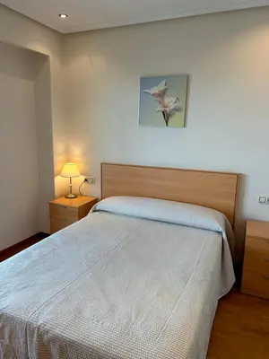 a bedroom with a bed with a white bedspread at Vistas Miño in Ourense