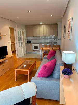 a living room with a blue couch with pink pillows at Vistas Miño in Ourense