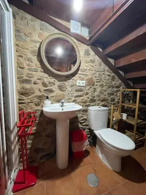 a bathroom with a sink and a toilet and a mirror at Alojamiento bodega LOF in Valtuille de Abajo