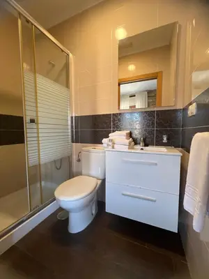 a bathroom with a toilet and a sink and a shower at Airiños Aires in Santiago de Compostela