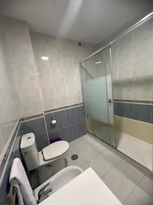 a bathroom with a toilet and a sink and a shower at Airiños Aires in Santiago de Compostela