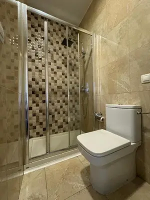 a bathroom with a shower and a toilet in it at Airiños Aires in Santiago de Compostela