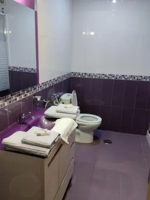 a purple bathroom with a toilet and a sink at Airiños Aires in Santiago de Compostela