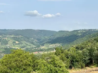 a group of trees on top of a mountain at Casa Tome A Teixeira - Ribeira Sacra in Teixeira