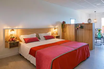 a bedroom with a large bed with red pillows at Luxury Singular Apartments Orange in Santiago de Compostela