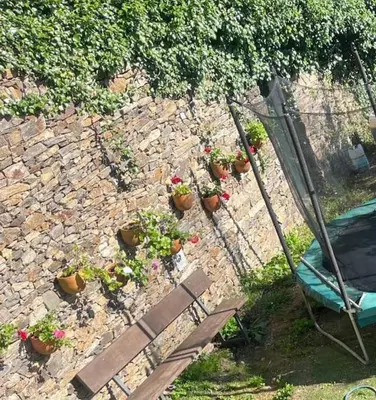 a stone wall with a bunch of potted plants at Casa A Boga RIBEIRA SACRA in Abeleda