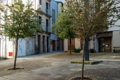 two trees in the middle of a street with buildings at Burgas1 in Ourense
