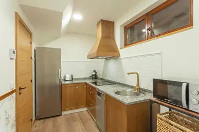 a kitchen with a stainless steel refrigerator and a sink at Apartamentos Rurales TIN TURISMO in Santa Eulalia de Oscos
