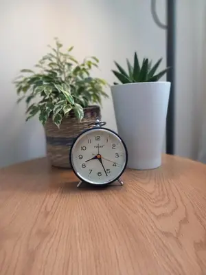 a clock sitting on a table with two potted plants at Abrula Vilalba in Villalba