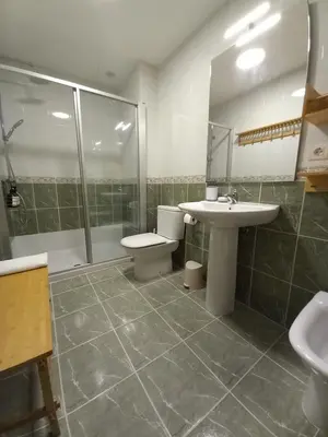 a bathroom with a shower and a sink and a toilet at Abrula Vilalba in Villalba