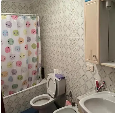 a bathroom with a toilet and a shower curtain at PISO ARTUR rúa astureses in Carballino