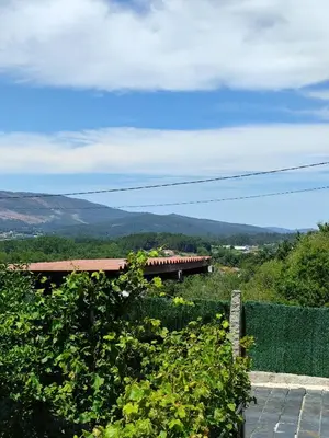 a train on the tracks in a field with trees at Lar de Pazos in Padrón