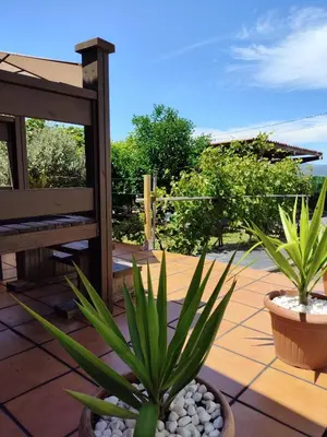 a patio with two potted plants and a bench at Lar de Pazos in Padrón