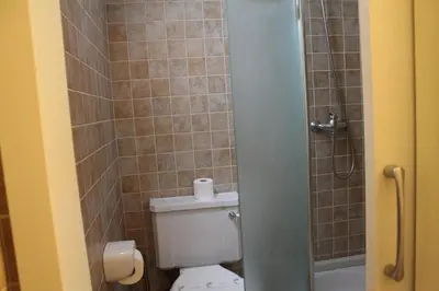 a small bathroom with a toilet and a shower at Pensión con Encanto San Martiño Pinario in Santiago de Compostela