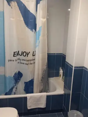 a bathroom with a shower curtain and a toilet at Piso DJC in O Pedrouzo