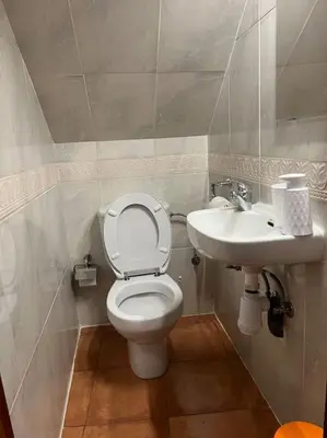 a bathroom with a toilet and a sink at Casa con terraza en el casco in Betanzos