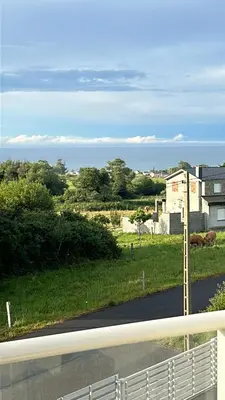 a road with a view of a field and a house at S&H La Gaita in Foro