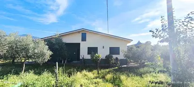 a white house in a field with trees at Casa Mercedes in Quiroga