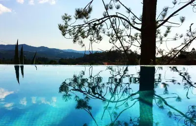 a reflection of a tree in a body of water at Te Cuento 3 Xesteira in A Xesteira
