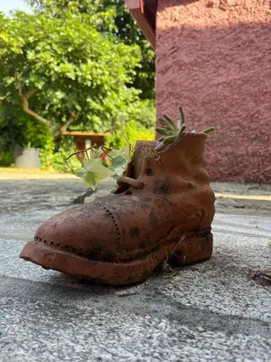 an old shoe sitting on the ground with a plant in it at Casa Romeo in Brion