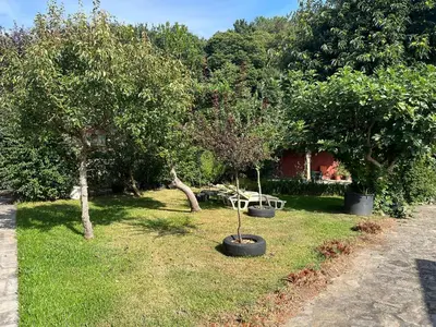 a garden with two trees and a table in the grass at Casa Romeo in Brion