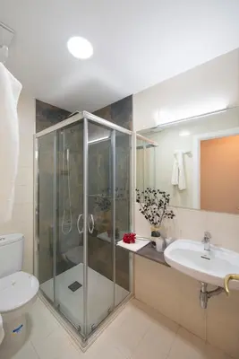 a bathroom with a shower and a toilet and a sink at Hotel Miño in Ourense