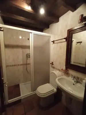 a bathroom with a shower and a toilet and a sink at Galicia in Forcarei