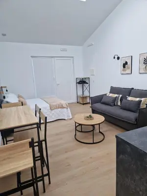 a living room with a couch and a table at Apartamentos Pasiño in Portomarin