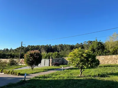 a road with two trees and a stone wall at Casa vanguardista en el campo cerca de Santiago in Pontevedra