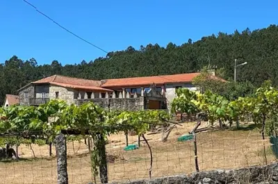 a house in a field with trees in front of it at Casa do Ferreiriño in Chacente