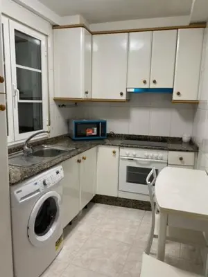 a kitchen with a washing machine and a sink at o piso de loli e manolo in Santiago de Compostela