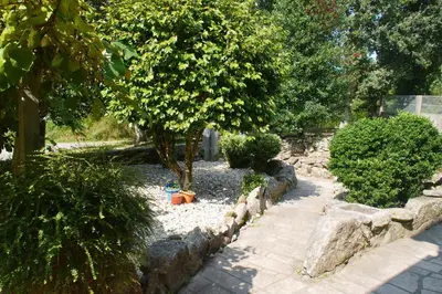 a garden with a tree and a stone wall at Casa Ermitas - Relájate en plena naturaleza in A Estrada