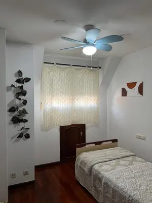 a bedroom with a bed and a ceiling fan at O piso de Cris in Caldas de Reis
