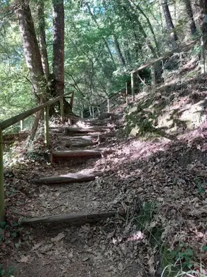 a wooden path in the woods with a fence at O Recuncho da Isa - Ribeira Sacra in Pereiro de Aguiar