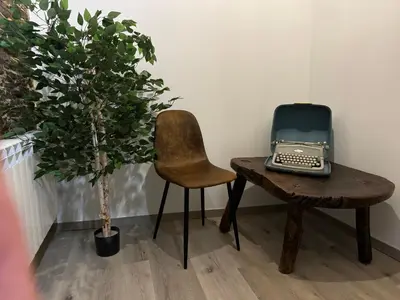 a desk with a laptop and a chair and a plant at Boutique Vila de Triacastela in Tríacastela