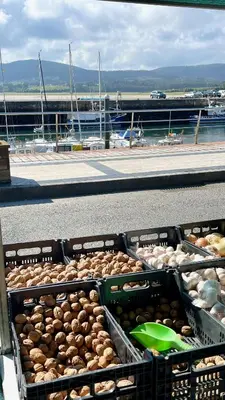 a bunch of bins of food on a street at The Cliffs A Ribeira - Polas in Foz