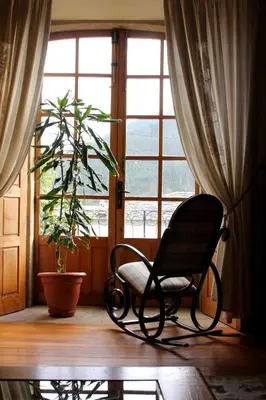 a chair in front of a window with a plant at Pazo da Trave in Viveiro