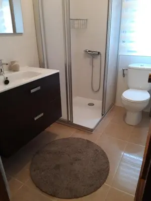 a bathroom with a shower and a toilet and a rug at Casa Lavandeira in Ourense