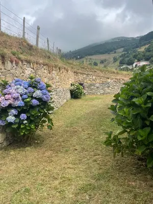 a stone wall with flowers in a yard at Los Diales in Cangas del Narcea