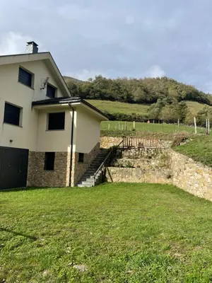 a house with a stone staircase next to a yard at Los Diales in Cangas del Narcea