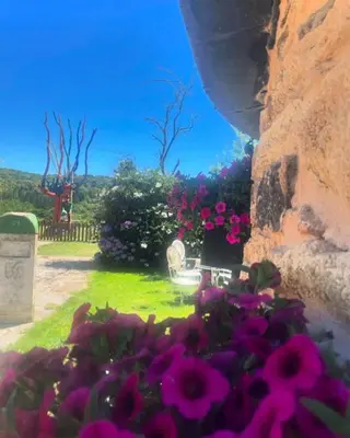 a bunch of purple flowers in a garden at O Forno de Catuxa Cottage & Roman Wall in Lugo