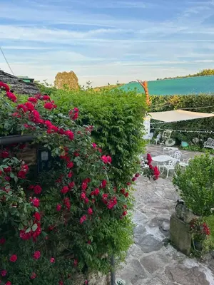 a hedge with pink flowers in a yard at O Forno de Catuxa Cottage & Roman Wall in Lugo