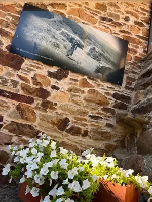 a tv hanging on a brick wall with flowers at La Casina de Gelo in Riego de Ambros