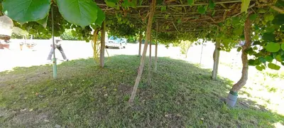 a group of trees in the grass under a roof at EnSan CIPRIAN Casa Lula in Cervo