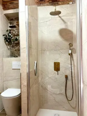 a bathroom with a shower with a toilet in it at CASA BORAL- Comfort exclusivo en plena naturaleza - Valle del Silencio in Manzanedo de Valdueza