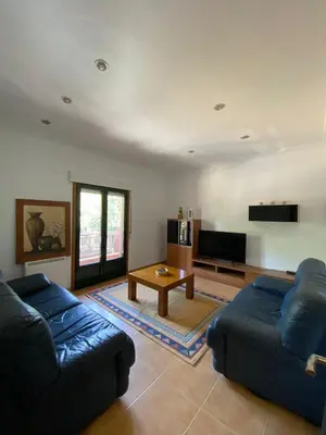 a living room with two blue couches and a tv at Carballeira in Moraña