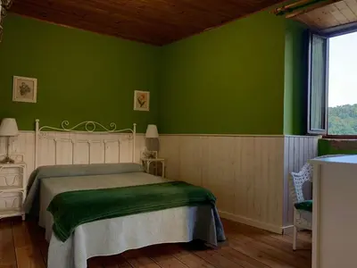 a green bedroom with a bed and a window at Casa Rural Santa Mariña in Portomarin