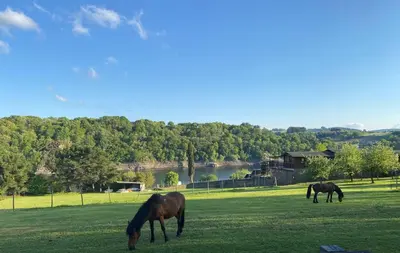 three horses grazing in a field near a lake at Casa Rural Santa Mariña in Portomarin