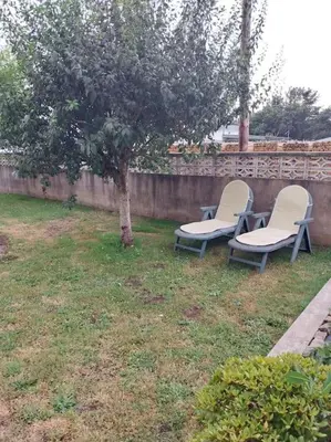two chairs sitting in a yard next to a tree at Vivienda turistica Os Galegos en Palas de Rey in Palas de Rei
